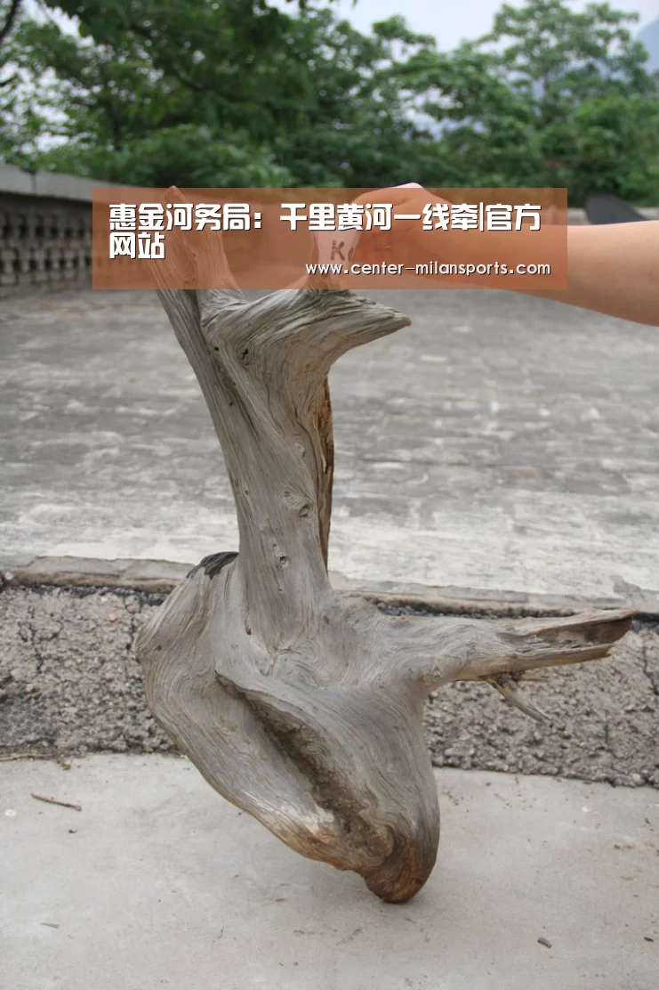 惠金河务局：千里黄河一线牵|官方网站(图1)