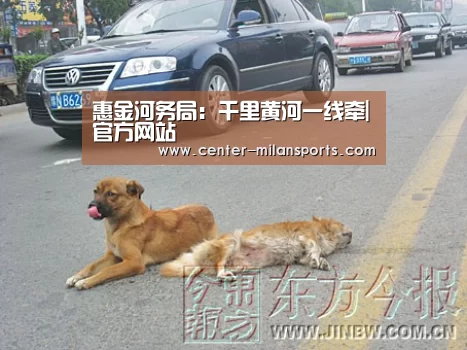官方网站